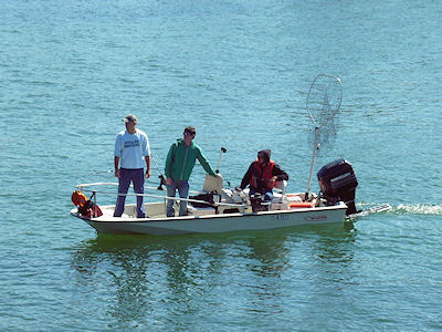 陸からサーモンを狙って釣りをする人たち