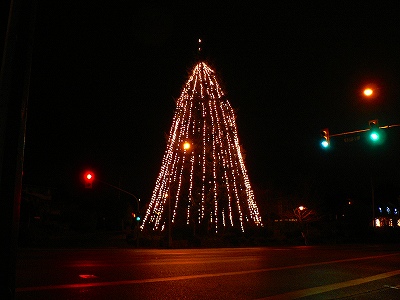 道路わきにあるモミの木のクリスマスツリー