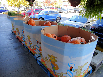 スーパーの外のボックスに入っているかぼちゃ