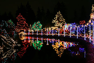バンデューセン植物園の池に写る電飾